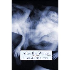 After the Winter Hardcover, Seven Stories Press