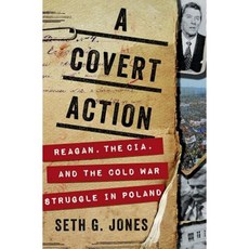 A Covert Action: Reagan the CIA and the Cold War Struggle in Poland Hardcover, W. W. Norton & Company