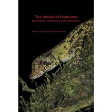 The Anoles of Honduras: Systematics Distribution and Conservation Paperback, Harvard University Museum of Comparative Zool