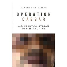 Operation Caesar: At the Heart of the Syrian Death Machine 平裝版, Polity Press