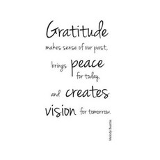 Gratitude Journal 2017 Paperback, Createspace Independent Publishing Platform