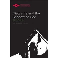 Nietzsche and the Shadow of God Hardcover, Northwestern University Press