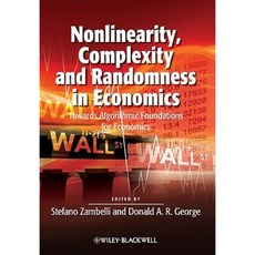 Nonlinearity Complexity and Randomness in Economics Paperback, Wiley-Blackwell