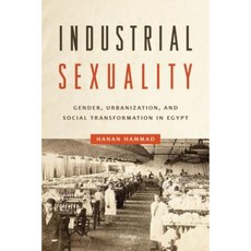 Industrial Sexuality: Gender Urbanization and Social Transformation in Egypt Hardcover, University of Texas Press