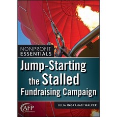 Nonprofit Essentials: Jump-Starting the Stalled Fundraising Campaign Paperback, Wiley