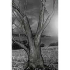 The Raven Notebook: Notebook with 150 Lined Pages Paperback, Createspace Independent Publishing Platform