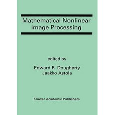 數學非線性影像處理：數學成像與視覺雜誌精裝本特刊, 施普林格