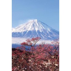 Fuji Cherry Blossoms Journal: 365 Day Journal Diary Notebook Paperback, Createspace Independent Publishing Platform