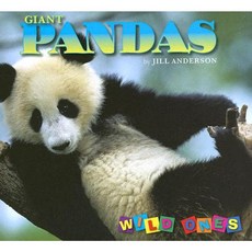 Giant Pandas Library Binding, Northword Press