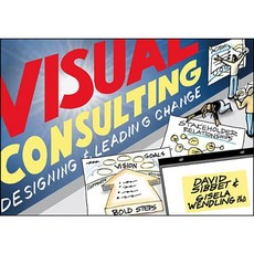 Visual Consulting: Designing and Leading Change 平裝版, Wiley