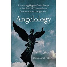 Angelology: Recovering Higher-Order Beings as Emblems of Transcendence Immanence and Imagination Paperback, James Clarke Company