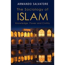 The Sociology of Islam: Knowledge Power and Civility Paperback, Wiley