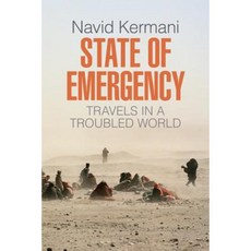State of Emergency: Travels in a Troubled World Paperback, Polity Press