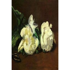 Journal: White Rose: Edouard Manet 1864 Paperback, Createspace Independent Publishing Platform