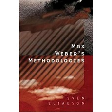 Max Weber's Methodologies: A Critical Introduction Paperback, Polity Press