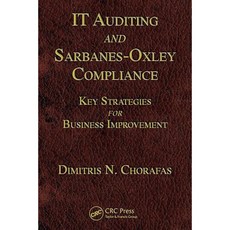 It Auditing and Sarbanes-Oxley Compliance: Key Strategies for Business Improvement Hardcover, Auerbach Publications