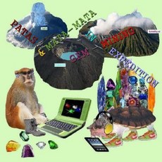 Patas and Mata-Mata on Gem-Mining Expedition Paperback, Createspace Independent Publishing Platform