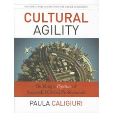 Cultural Agility: Building a Pipeline of Successful Global Professionals 精裝版, Jossey-Bass