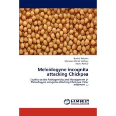 Meloidogyne Incognita Attacking Chickpea Paperback, LAP Lambert Academic Publishing