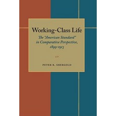 Working-Class Life: The "American Standard" in Comparative Perspective 1899-1913 Paperback, University of Pittsburgh Press