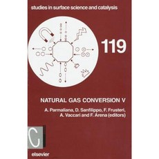 Natural Gas Conversion V Hardcover, Elsevier Science