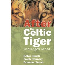 After the Celtic Tiger: Challenges Ahead Paperback, O'Brien Press