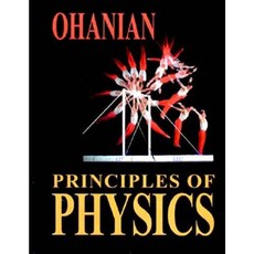Principles of Physics Paperback, W. W. Norton & Company