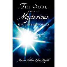 The Soul and the Mysterious Un...Seen World Paperback, Xulon Press