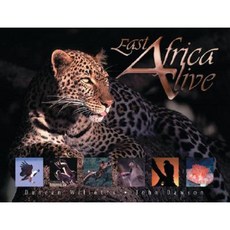 東非活力精裝本, 相機像素