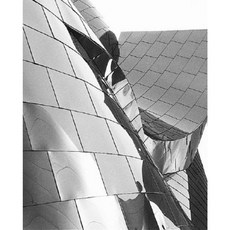 Frozen Music: Walt Disney Concert Hall Hardcover, Balcony Press