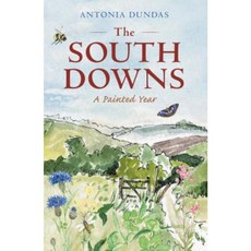 南方唐斯：彩繪年精裝本, 安伯利出版社