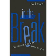In the Break Paperback, University of Minnesota Press