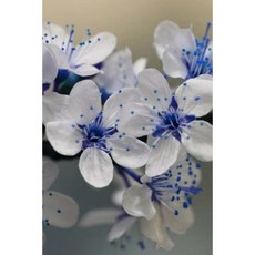 Floral Journal: 160 Page Lined Journal/Notebook Paperback, Createspace Independent Publishing Platform