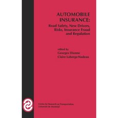 汽車保險：道路安全 新手駕駛風險 保險詐欺與監理 精裝, 施普林格