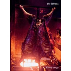The Lament Hardcover, Dewi Lewis Publishing