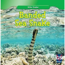 Banded Sea Snake Library Binding, Gareth Stevens Publishing