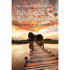 Pathways to Transformation: Learning in Relationship Paperback, Information Age Publishing