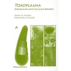 Toxoplasma: Molecular and Cellular Biology Hardcover, Routledge