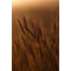 Agriculture Notebook Paperback, Createspace Independent Publishing Platform