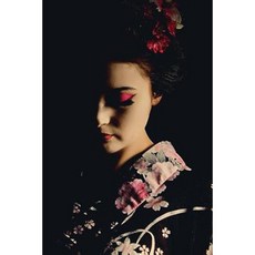 Evening Geisha Journal: 365 Day Journal Diary Notebook Paperback, Createspace Independent Publishing Platform