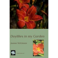 我花園裡的黃花菜平裝本, 模糊