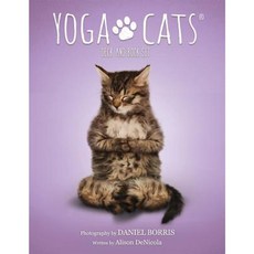 Yoga Cats Deck & Book Set Hardcover, U.S. Games Systems