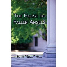 The House of Fallen Angels Paperback, Publish America