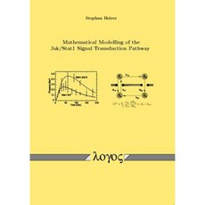 Mathematical Modelling of the Jak /Stat1 Signal Transduction Pathway Paperback, Logos Verlag Berlin