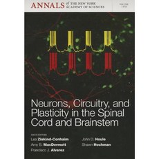 Neurons Circuitry and Plasticity in the Spinal Cord and Brainstem Volume 1279 Paperback