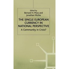 Single European Currency in National Perspective Hardcover, Palgrave MacMillan