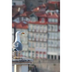 Porto Portugal Notebook Paperback, Createspace Independent Publishing Platform