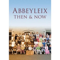 Abbeyleix Then & Now Paperback, History Press (SC)