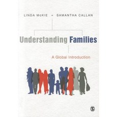 Understanding Families: A Global Introduction Paperback, Sage Publications Ltd