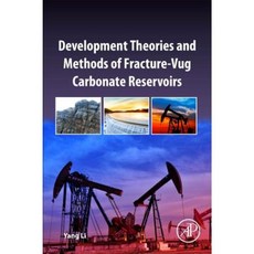 碳酸鹽岩縫洞儲層發展理論與方法平裝本, 學術出版社